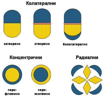 (c) 2010 Kiril Stoyanov